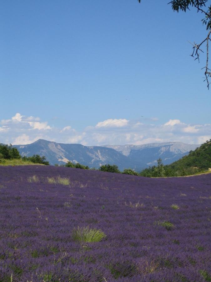 Les Vieux Murs Montfort  Δωμάτιο φωτογραφία