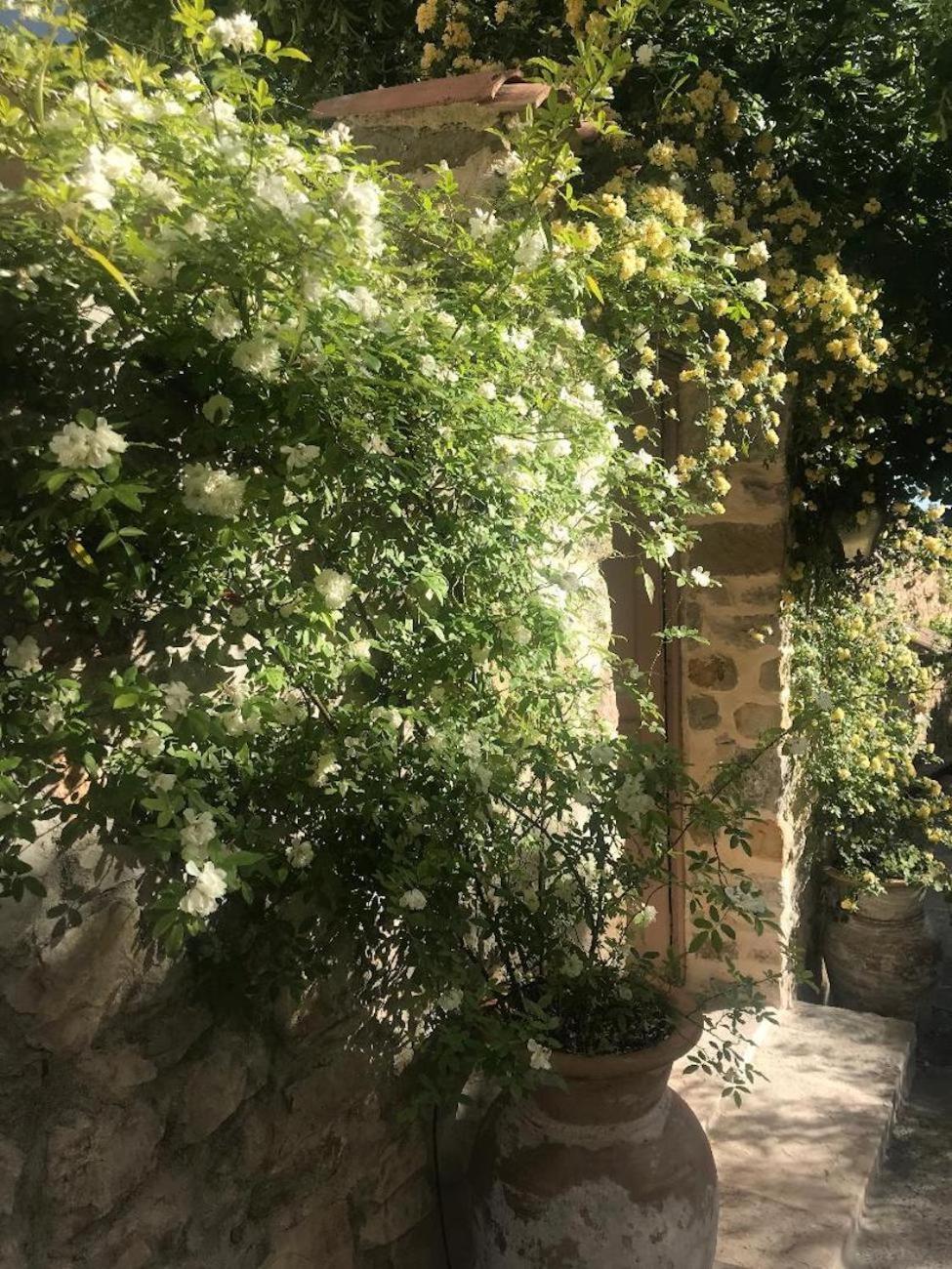 Les Vieux Murs Montfort  Εξωτερικό φωτογραφία