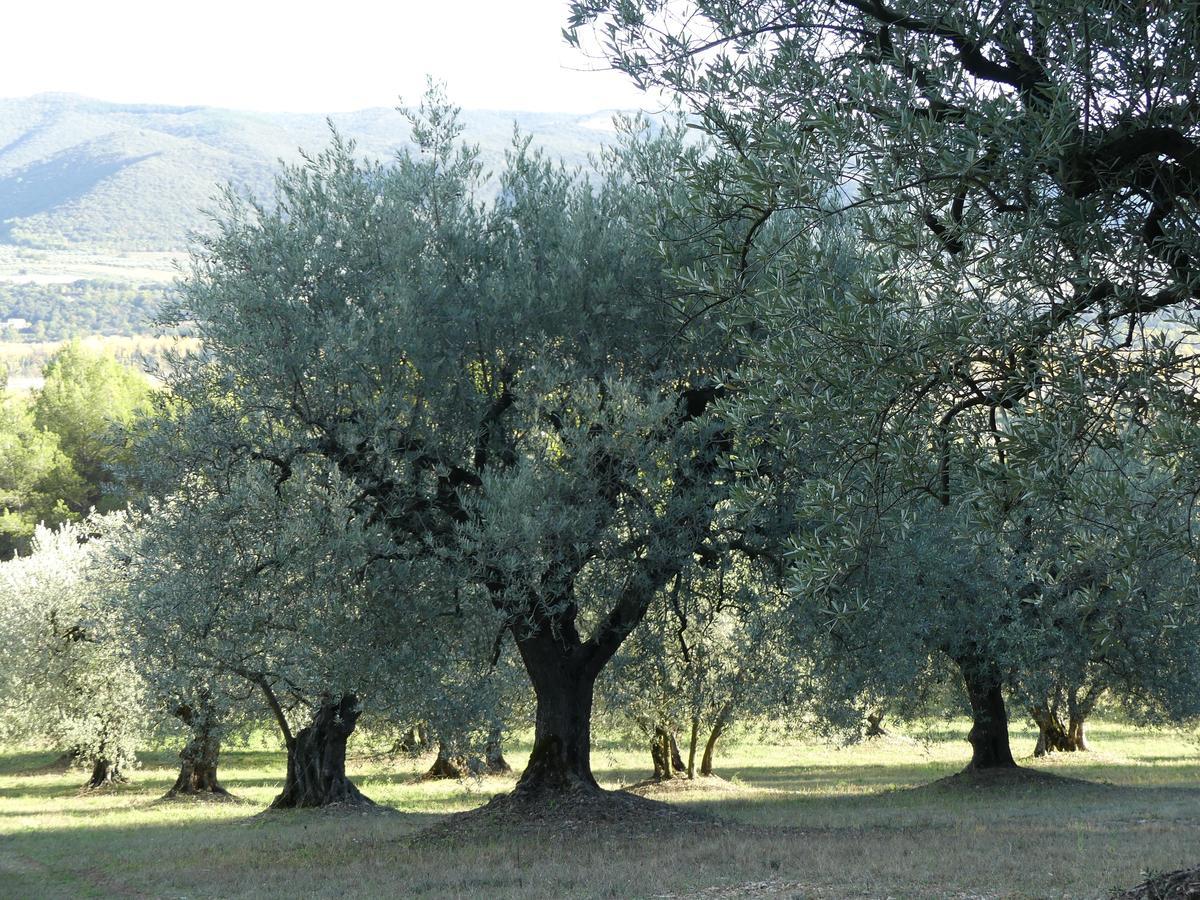 Les Vieux Murs Montfort  Εξωτερικό φωτογραφία