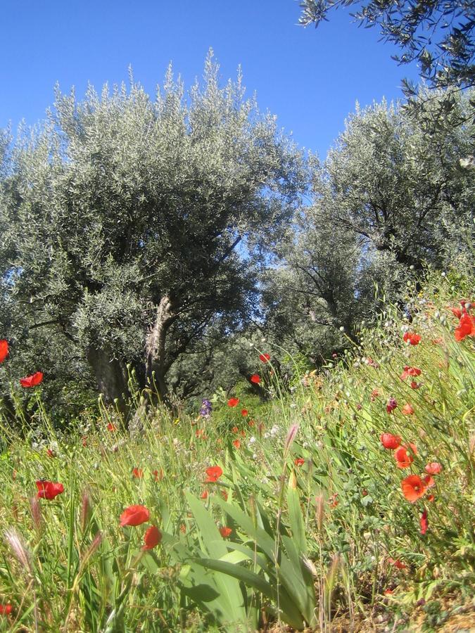 Les Vieux Murs Montfort  Εξωτερικό φωτογραφία