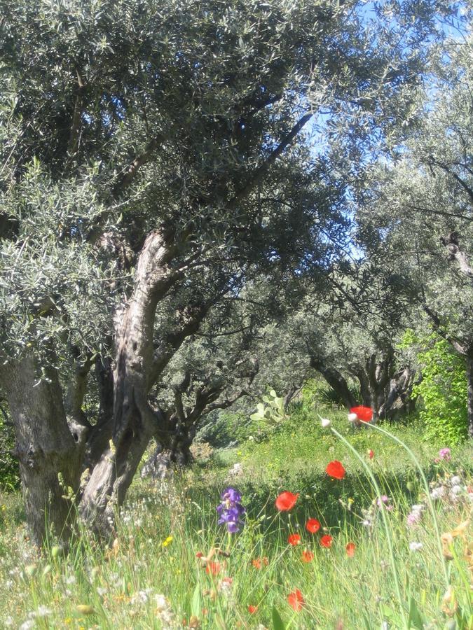 Les Vieux Murs Montfort  Εξωτερικό φωτογραφία